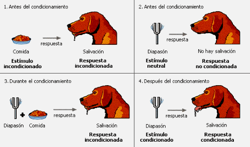 LA ESTRATEGIA OCULTA DE LA “CORRECCION POLITICA”