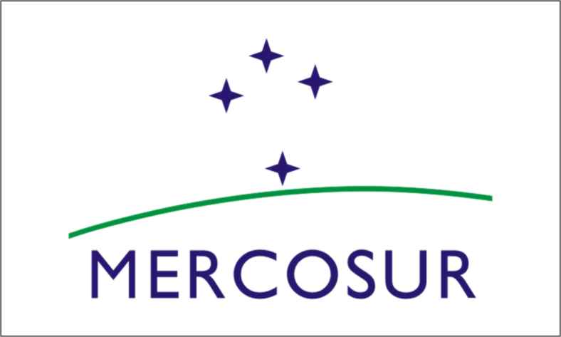 Golpe de Estado en Mercosur